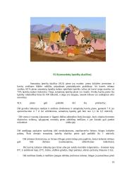 Gyvulių šėrimo normos 19 puslapis