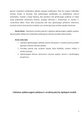 Globalus aplinkosauginis rūpestis socialinės įtampos laukų perspektyvoje ir jo įtaka/ reikšmingumas Lietuvos kontekste 3 puslapis