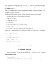 Grupinio darbo metodas ir grupinis darbas su rizikos grupėmis 11 puslapis