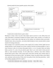 Grupinio darbo metodas ir grupinis darbas su rizikos grupėmis 13 puslapis