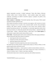 Grupinio darbo metodas ir grupinis darbas su rizikos grupėmis 3 puslapis