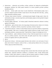 Grupinio darbo metodas ir grupinis darbas su rizikos grupėmis 10 puslapis
