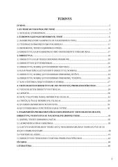 1989 metų gruodžio 21 dienos Vienuoliktosios Tarybos direktyvos 89/666/EEB  nuostatų problemiškumas 2 puslapis