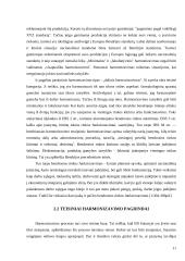 1989 metų gruodžio 21 dienos Vienuoliktosios Tarybos direktyvos 89/666/EEB  nuostatų problemiškumas 11 puslapis