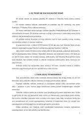 1989 metų gruodžio 21 dienos Vienuoliktosios Tarybos direktyvos 89/666/EEB  nuostatų problemiškumas 5 puslapis