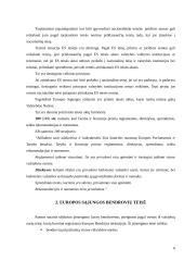 1989 metų gruodžio 21 dienos Vienuoliktosios Tarybos direktyvos 89/666/EEB  nuostatų problemiškumas 6 puslapis