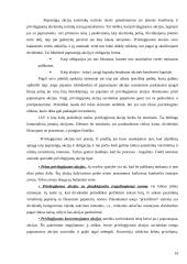 Akcijų rūšys ir jų palyginimas 14 puslapis