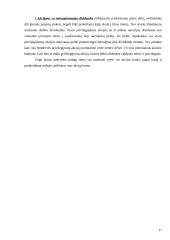 Akcijų rūšys ir jų palyginimas 17 puslapis