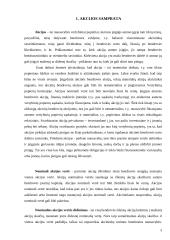 Akcijų rūšys ir jų palyginimas 3 puslapis