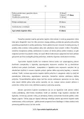 Apyvartinio kapitalo didinimo galimybės ir valdymas 15 puslapis