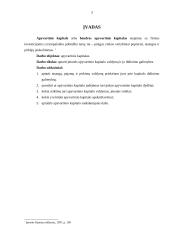 Apyvartinio kapitalo didinimo galimybės ir valdymas 3 puslapis