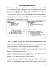 Apskaitos duomenų parengimas metiniam balansui sudaryti ir jo informacijos naudojimas vadyboje: UAB "Versmė" 11 puslapis