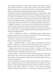 Apskaitos duomenų parengimas metiniam balansui sudaryti ir jo informacijos naudojimas vadyboje: UAB "Versmė" 13 puslapis