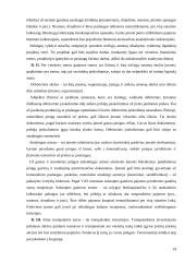 Apskaitos duomenų parengimas metiniam balansui sudaryti ir jo informacijos naudojimas vadyboje: UAB "Versmė" 14 puslapis