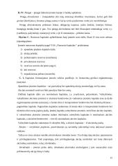 Apskaitos duomenų parengimas metiniam balansui sudaryti ir jo informacijos naudojimas vadyboje: UAB "Versmė" 15 puslapis