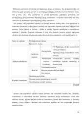 Apskaitos duomenų parengimas metiniam balansui sudaryti ir jo informacijos naudojimas vadyboje: UAB "Versmė" 16 puslapis