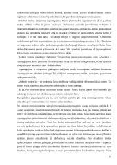 Apskaitos duomenų parengimas metiniam balansui sudaryti ir jo informacijos naudojimas vadyboje: UAB "Versmė" 19 puslapis