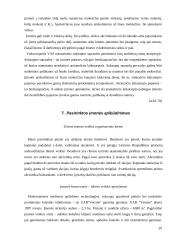 Apskaitos duomenų parengimas metiniam balansui sudaryti ir jo informacijos naudojimas vadyboje: UAB "Versmė" 20 puslapis