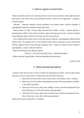 Apskaitos duomenų parengimas metiniam balansui sudaryti ir jo informacijos naudojimas vadyboje: UAB "Versmė" 4 puslapis