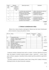 Apskaitos duomenų parengimas metiniam balansui sudaryti ir jo informacijos naudojimas vadyboje: UAB "Versmė" 5 puslapis