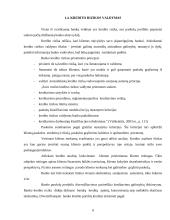 Banko kreditavimo formų analizė: AB "Šiaulių bankas" 9 puslapis