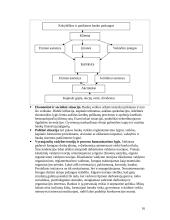 Lietuvoje esančių bankų veikla 16 puslapis