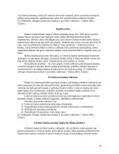 Lietuvoje esančių bankų veikla 19 puslapis