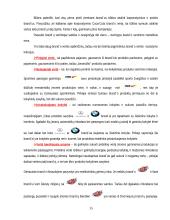 Brand'ai ir branding'as 15 puslapis