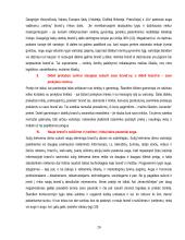 Brand'ai ir branding'as 20 puslapis