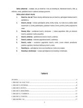 Brand'ai ir branding'as 3 puslapis