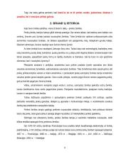 Brand'ai ir branding'as 8 puslapis