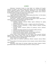 Harmoningo mobilumo link. Žmonių ir krovinių srautai Baltijos regione 2 puslapis