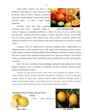 Citrusinių vaisių produkcijos tyrimas 11 puslapis