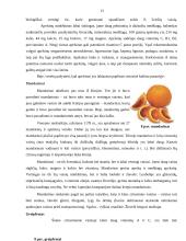 Citrusinių vaisių produkcijos tyrimas 13 puslapis