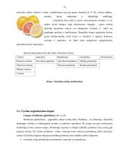 Citrusinių vaisių produkcijos tyrimas 14 puslapis