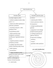 Citrusinių vaisių produkcijos tyrimas 6 puslapis