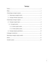 Harmoningos strategijos rengimas organizacijoje 2 puslapis