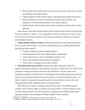 Harmoningos strategijos rengimas organizacijoje 12 puslapis