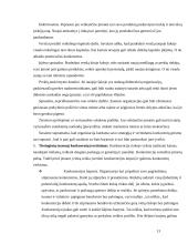 Harmoningos strategijos rengimas organizacijoje 13 puslapis