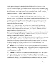 Harmoningos strategijos rengimas organizacijoje 17 puslapis