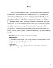 Harmoningos strategijos rengimas organizacijoje 3 puslapis