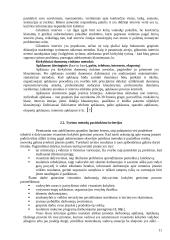 Darbuotojų dalyvavimo kokybės gerinimo procese įvertinimas įmonėje "Srovė" 11 puslapis