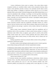 Ieškinio senaties taikymo sąlygos 13 puslapis