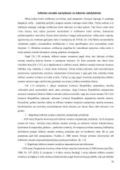 Ieškinio senaties taikymo sąlygos 18 puslapis