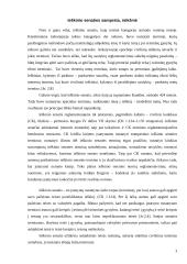 Ieškinio senaties taikymo sąlygos 3 puslapis