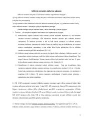 Ieškinio senaties taikymo sąlygos 5 puslapis