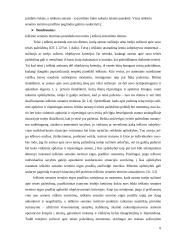 Ieškinio senaties taikymo sąlygos 6 puslapis