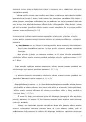 Ieškinio senaties taikymo sąlygos 7 puslapis