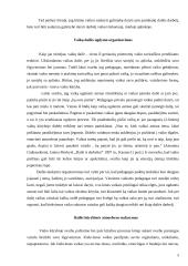 Ikimokyklinio amžiaus vaikų skatinimas dailei 5 puslapis