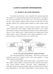 Ilgalaikio materialaus turto auditas: AB "Lietuvos jūrų laivininkystė" 2 puslapis